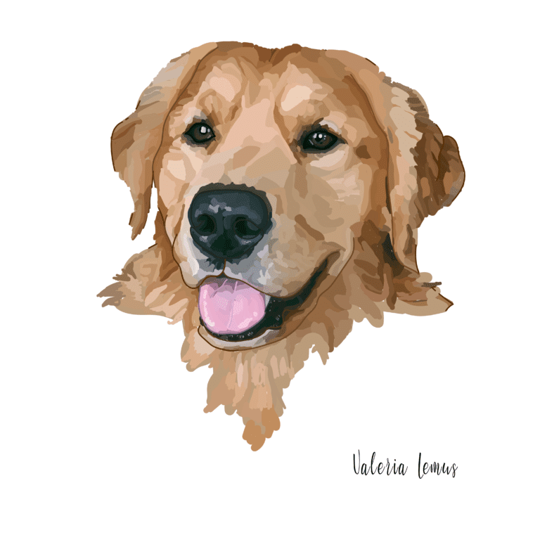 perrito